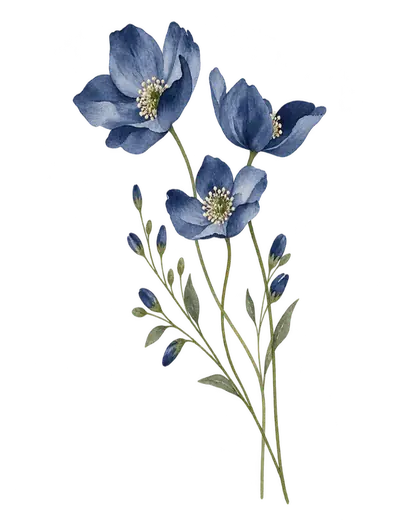 Flores azules acuarela de fondo